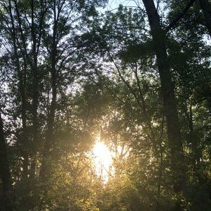 Meet your Posher, Ann